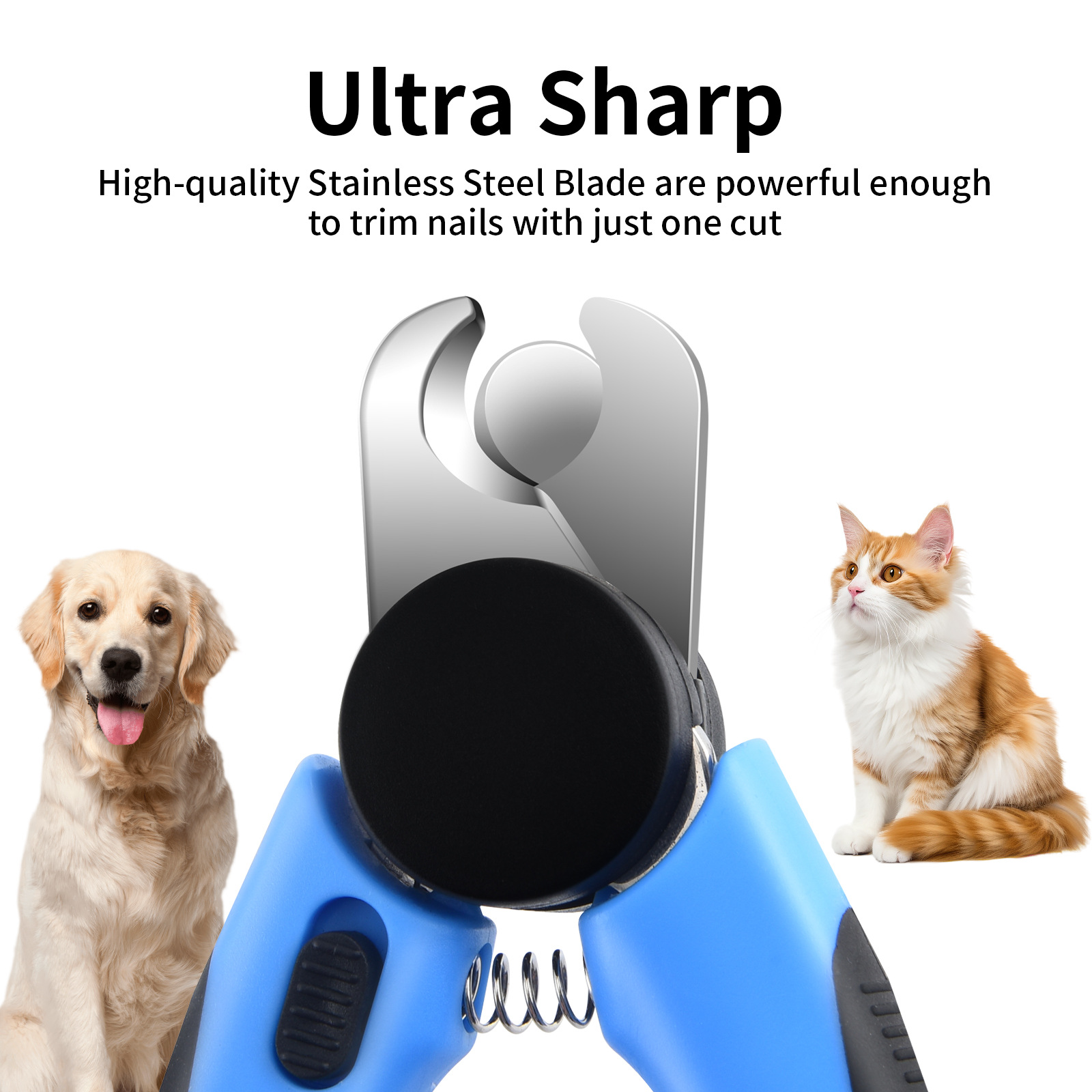 O1CN01IFtHbJ1FqSBFafv6v_!!2219662530538-0-cib