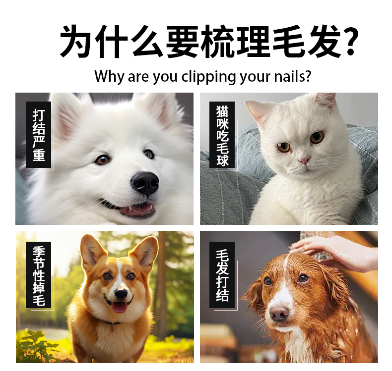 宠物梳_03 宠物梳_03